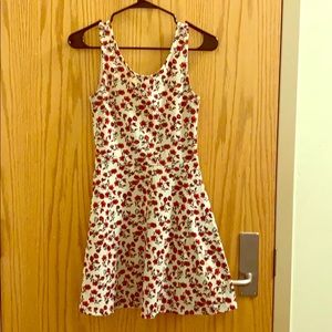 White/Red Roses Skater Dress